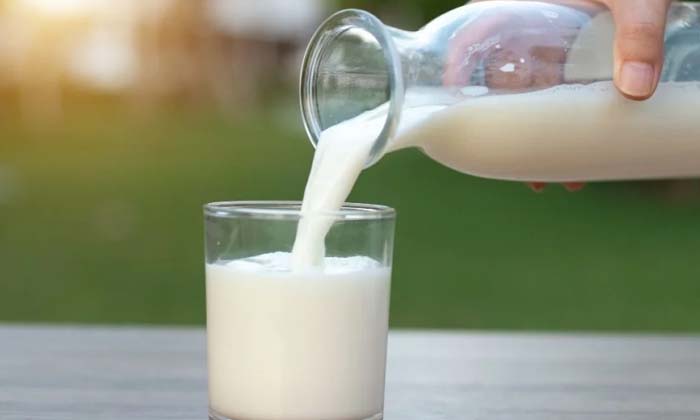  Taking Milk This Way Will Result In Weight Loss , Milk, Weight Loss, Weight Loss-TeluguStop.com