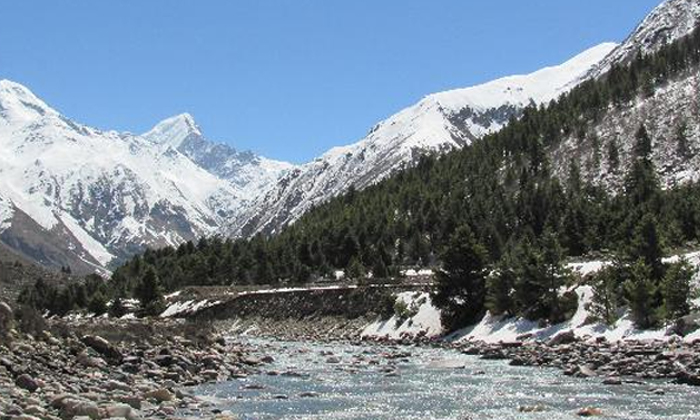 Telugu Indian, Latest-Latest News - Telugu Telugu Indian, Latest-Latest News - Telugu