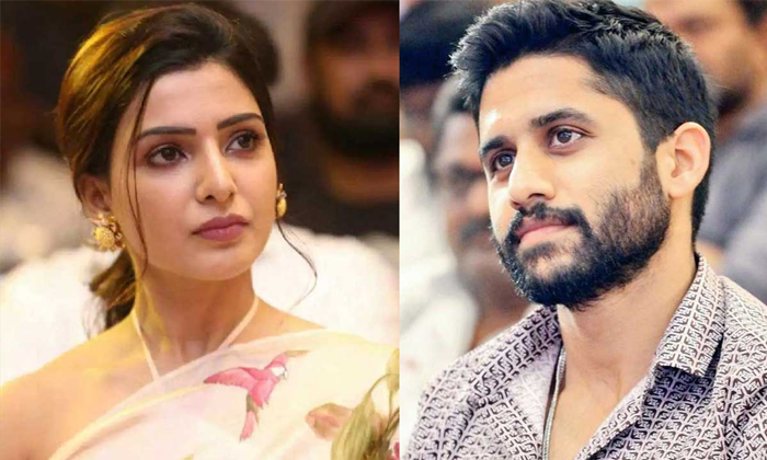  Netizen Shocking Comments About Star Heroine Samantha Details, Samantha, Naga Ch-TeluguStop.com