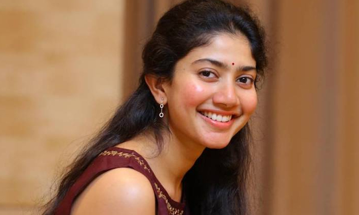  I Was Born In Telangana In Before Life Sai Pallavi Shocking Comments, Sai Pallav-TeluguStop.com