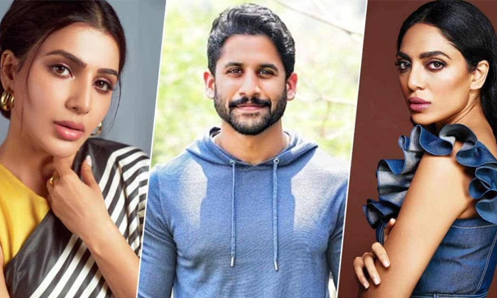  Shobitha Responds On Dating Rumors With Naga Chaitanya Details, Shobhita, Naga C-TeluguStop.com