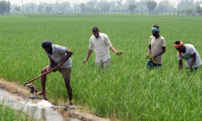 Telugu Dharani, Dharani Website, Farmers, Harish Rao, Mulugu, Telangana-Politica