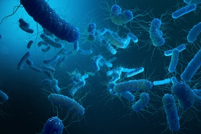  Typhoid Bacteria Increasingly Resistant To Essential Antibiotics: Lancet-TeluguStop.com