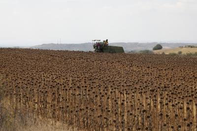  Un Chief Warns Of Global Chaos As Result Of Ukraine Conflict-TeluguStop.com