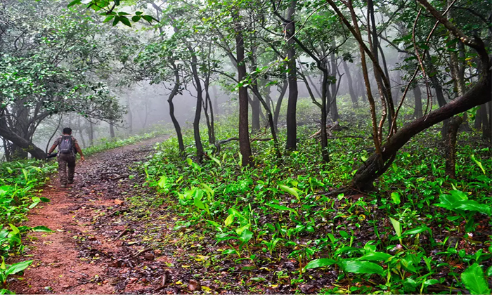 Telugu Andhra, Hundreds, Pedda Valtheru, Rcdbio, Latest, Vishakapatnam, Vizag, V Telugu Andhra, Hundreds, Pedda Valtheru, Rcdbio, Latest, Vishakapatnam, Vizag, V