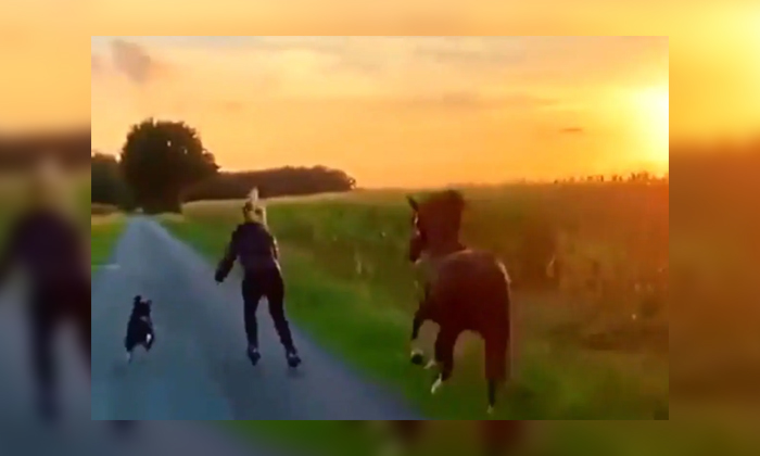  Woman Competes With Horse In Skating Details, Skateing, Viral Latest, News Viral-TeluguStop.com