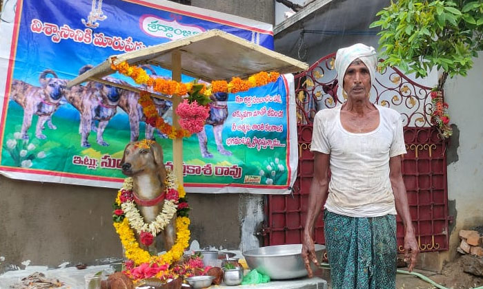  A Statue To Mark The Death Of A Dog , Dog, Statue, Gnanaprakasa Rao, Krishna , B-TeluguStop.com