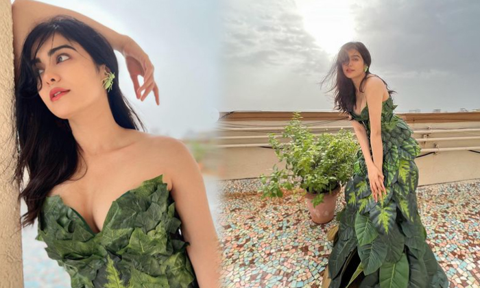 Actress Adah Sharma Sizzling Images-telugu Actress Photos Actress Adah Sharma Sizzling Images - @adah_sharma Adahsharma Photo,Image,Pics Actress Adah Sharma Sizzling Images-telugu Actress Photos Actress Adah Sharma Sizzling Images - @adah_sharma Adahsharma High Resolution Photo