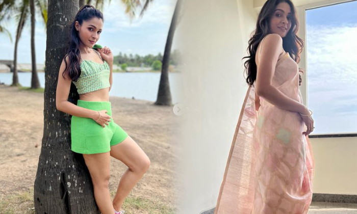 Actress Andrea Jeremiah Looks Amazing In This Pictures-telugu Actress Photos Actress Andrea Jeremiah Looks Amazing In Th High Resolution Photo