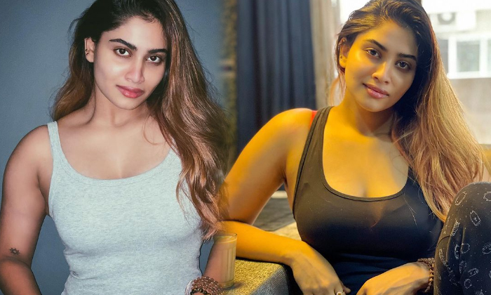 Actress Shivani Narayanan Glamorous Photos Melts Our Hearts-telugu Actress Photos Actress Shivani Narayanan Glamorous Ph High Resolution Photo