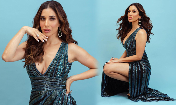 Actress Sophie Choudry Looks Ravishing In Her Latest Hot Pics Goes Viral-telugu Actress Photos Actress Sophie Choudry Lo High Resolution Photo