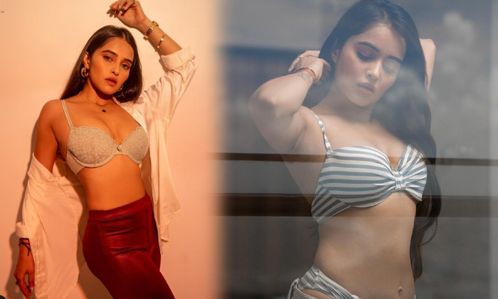 Artist Kaushiki Rathore Is Too Hot In This Pictures-telugu Actress Photos Artist Kaushiki Rathore Is Too Hot In This Pic High Resolution Photo