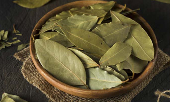  Doing This With Bay Leaves Will Make Your Teeth White And Stronger! ,bay Leaves,-TeluguStop.com