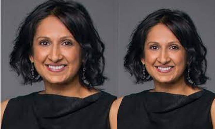 Telugu Boardtrustees, Dmaboard, Gaurinatarajan, Indianamerican, Venugopal Menon-