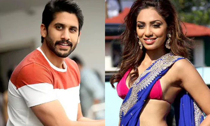 Telugu Chay National, Chay Sam, Naga Chaitanya, Samantha-Movie