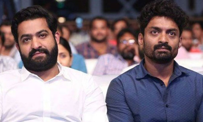  Kalyan Ram Comments About Tarak Goes Viral In Social Media Details Here,kalyan R-TeluguStop.com