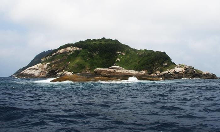  This Is The Terrible Island That No Human Can Go To , Man Not Entered, Snake Isl-TeluguStop.com