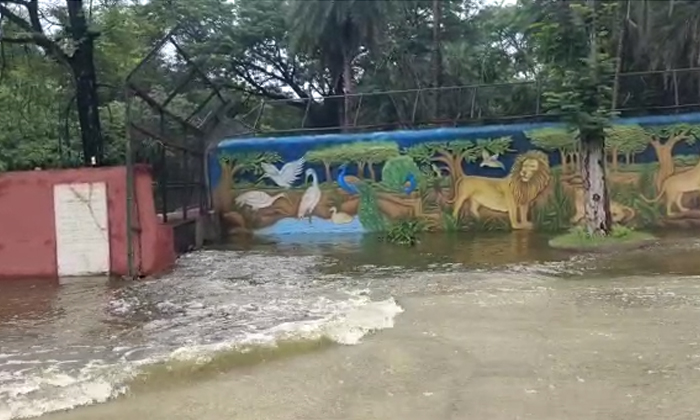 Miralam Pond Is Filled And Water Is Overflowing Into The Zoo Details, Miralam Po Miralam Pond Is Filled And Water Is Overflowing Into The Zoo Details, Miralam Po-TeluguStop.com