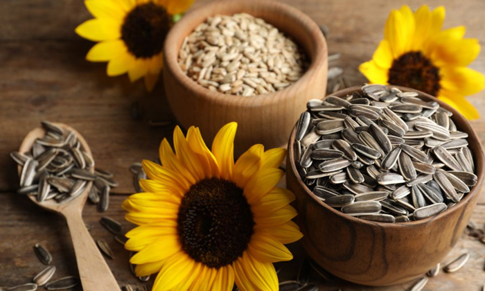  Wonderful Skin Care Benefits With Sunflower Seeds!,skin Care, Sunflower Seeds, S-TeluguStop.com