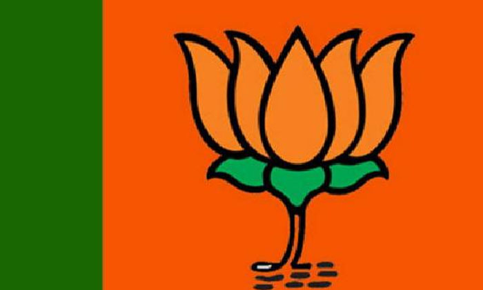  Ap Bjp Paddayatra For Amaravathi Ap, Ap Government, Jagan, Ysrcp, Ap, Tdp, Ysrc-TeluguStop.com