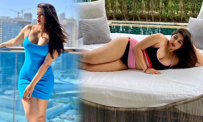 These Stunning Pics Of Actress Nikita Sharma Heads Turn On The Internet-telugu Actress Photos These Stunning Pics Of Act High Resolution Photo