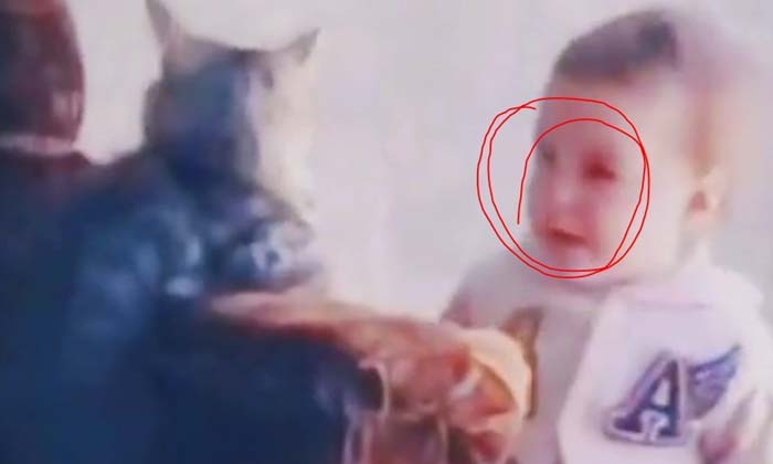  Viral  The Kid Who Hit The Cat And Cried Like Nothing , Cat , Boy, Playing, Vira-TeluguStop.com