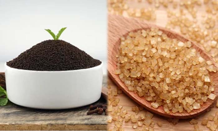 Telugu Almond Tea, Almondtea, Almonds, Badam Tea, Tips, Latest-Telugu Health Tip