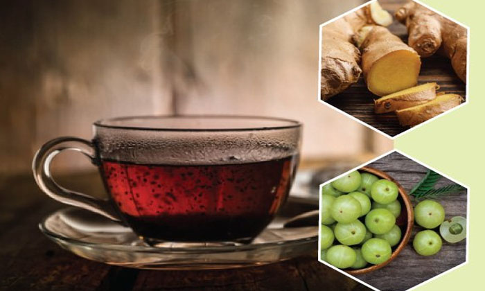 Telugu Amla Ginger Tea, Tips, Immunity, Immunity System, Latest, Rainy Season, P