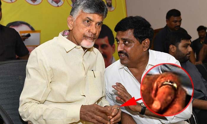  That S Why Chandrababu Put A Smart Ring On His Hand , Andhra Pradesh , Chandr-TeluguStop.com