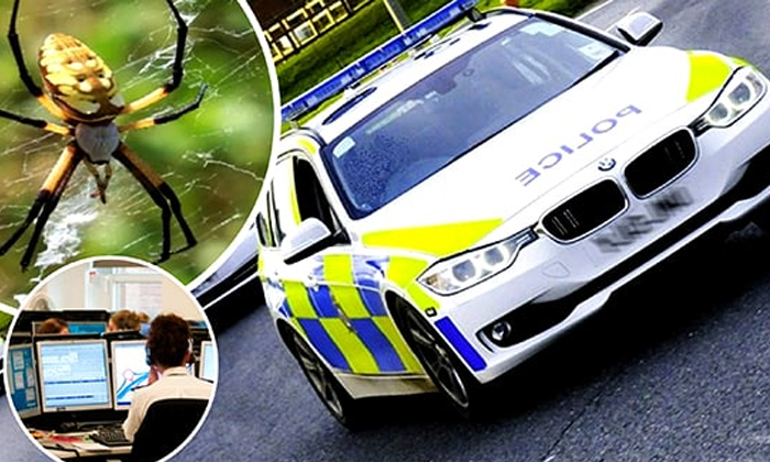  England Woman Calls Police Emergency Number Asks To Help Escape Spider Details,-TeluguStop.com