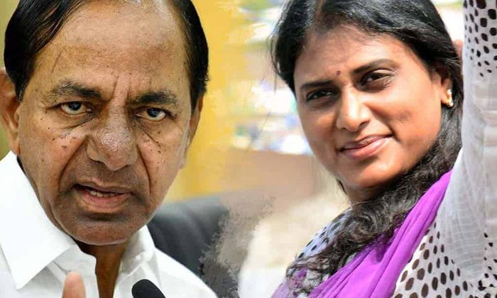 Telugu Epuri Somanna, Hujurnagar, Sharmila, Telangana, Ysrtp-Politics