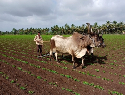  Gujarat Farmer Commits Suicide After Being Harassed By Builders-TeluguStop.com