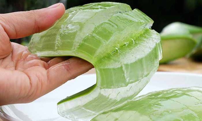 Telugu Dandruff, Care, Care Tips, Fall, Latest, Long, Simple Tips-Telugu Health Telugu Dandruff, Care, Care Tips, Fall, Latest, Long, Simple Tips-Telugu Health