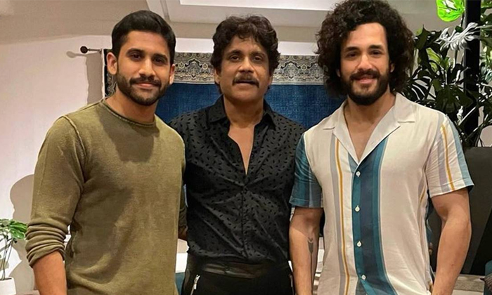 Telugu Akhil Akkineni, Akkineni Fans, Praveen Sattaru, Naga Chaitanya, Nagarjuna