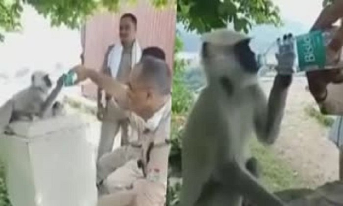  Policemen Gave Ors To Langoor In Uttarakhand Details, Police Gave Ors, Police, U-TeluguStop.com