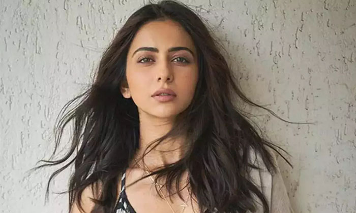  Reason Behind Rakul Preeth Telugu Offers Rejecting Rakul Preeth, Social Media, I-TeluguStop.com