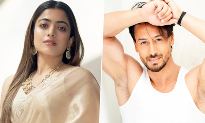 Telugu Bollywood, Rashmika, Rashmikatiger, Telugu, Tiger Shroff, Tollywood-Movie