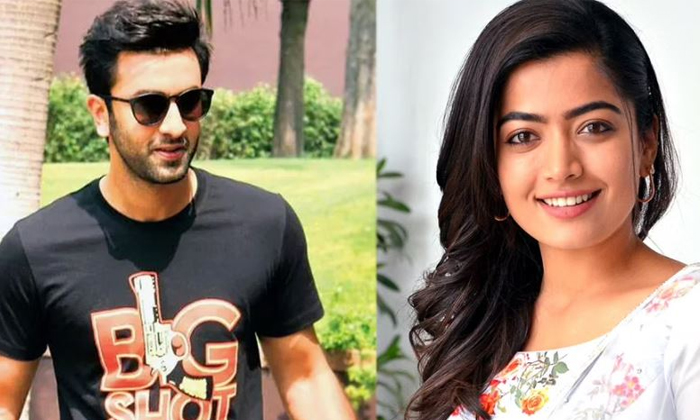 Telugu Animal, Sandeepreddy, Pushpa, Ranbir Kapoor, Rashmika, Role, Tollywood-Mo