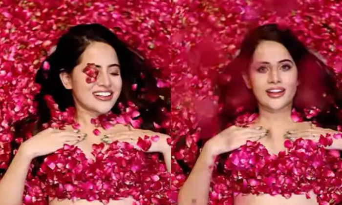  Urfi Javed S Rose Petals Bath Video Goes Viral In Instagram, Urfi Javed, Rose Pe-TeluguStop.com