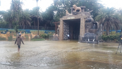  Safari Park At Hyderabad Zoo Flooded-TeluguStop.com