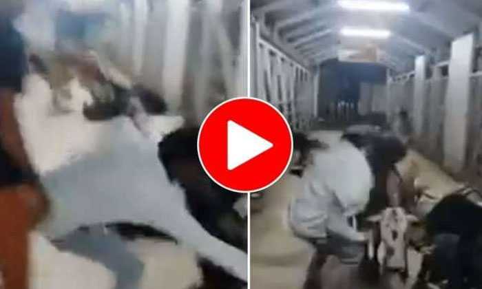  The Young Man Who Sang The Cow That Flew And Kicked , Man , Singing, Song, Viral-TeluguStop.com