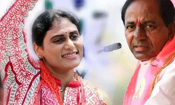  Sharmila's Headache Started For Trs , Sharmila , Ysrtp, Kcr, Ktr, Hujurnagar, Te-TeluguStop.com