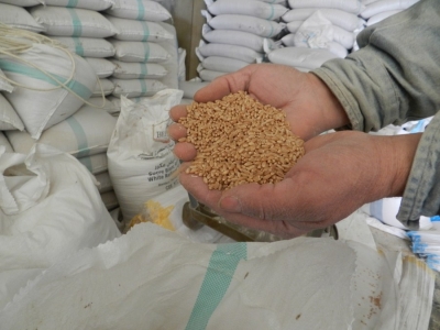  Ukraine Earns 22.2 Bln Usd From Grain, Oilseeds Exports In 2021-2022-TeluguStop.com