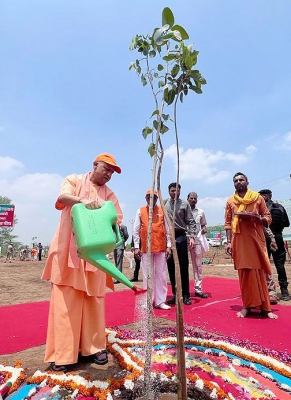  Yogi Launches Mega Tree Plantation Drive In Up-TeluguStop.com