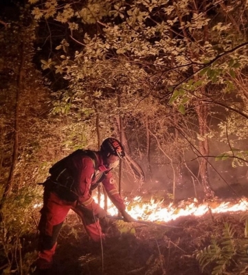  800 Fire Fighters Battle Blaze In German National Park-TeluguStop.com