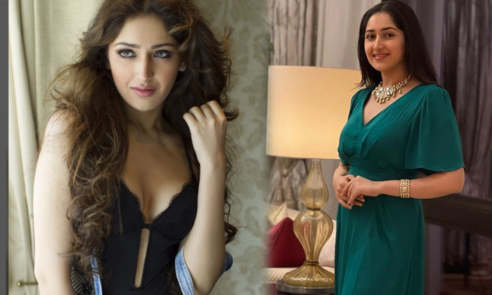 Actress Sayyeshaa Looks Classy And Elegant In This Pictures-telugu Actress Photos Actress Sayyeshaa Looks Classy And Ele High Resolution Photo