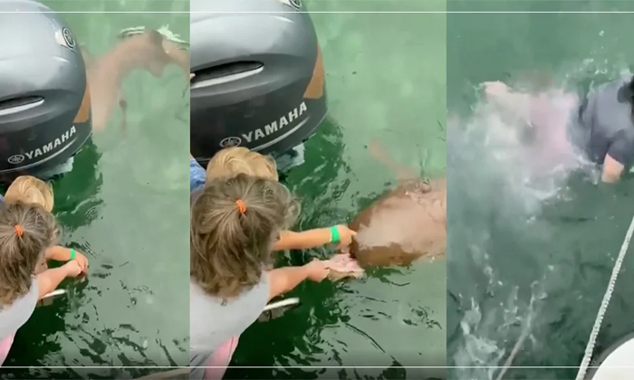  Mother And Child Who Fell Into The Water Before The Shark Video Viral Details, V-TeluguStop.com