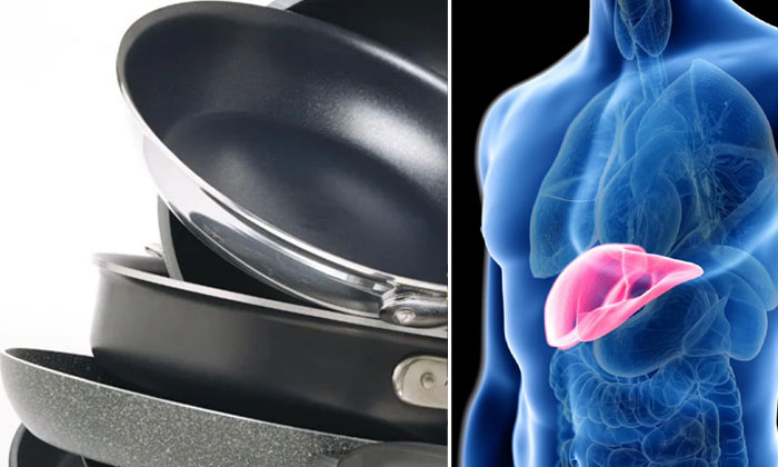  Liver Cancer With Nonstick Cooking Utensils.. Southern California Scientists Stu-TeluguStop.com