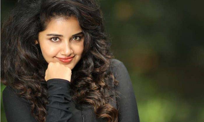  Anupama Parameswaran Bollywood Chances , Anupama, Anupama Parameswaran, Chandu M-TeluguStop.com