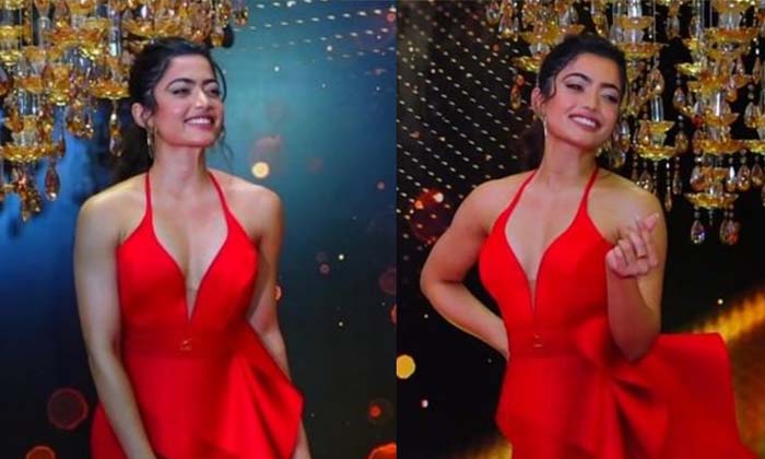 Rashmika New Conditions For Producers , Amitabh Bachchan,goodbye,producers,rash Rashmika New Conditions For Producers , Amitabh Bachchan,goodbye,producers,rash-TeluguStop.com